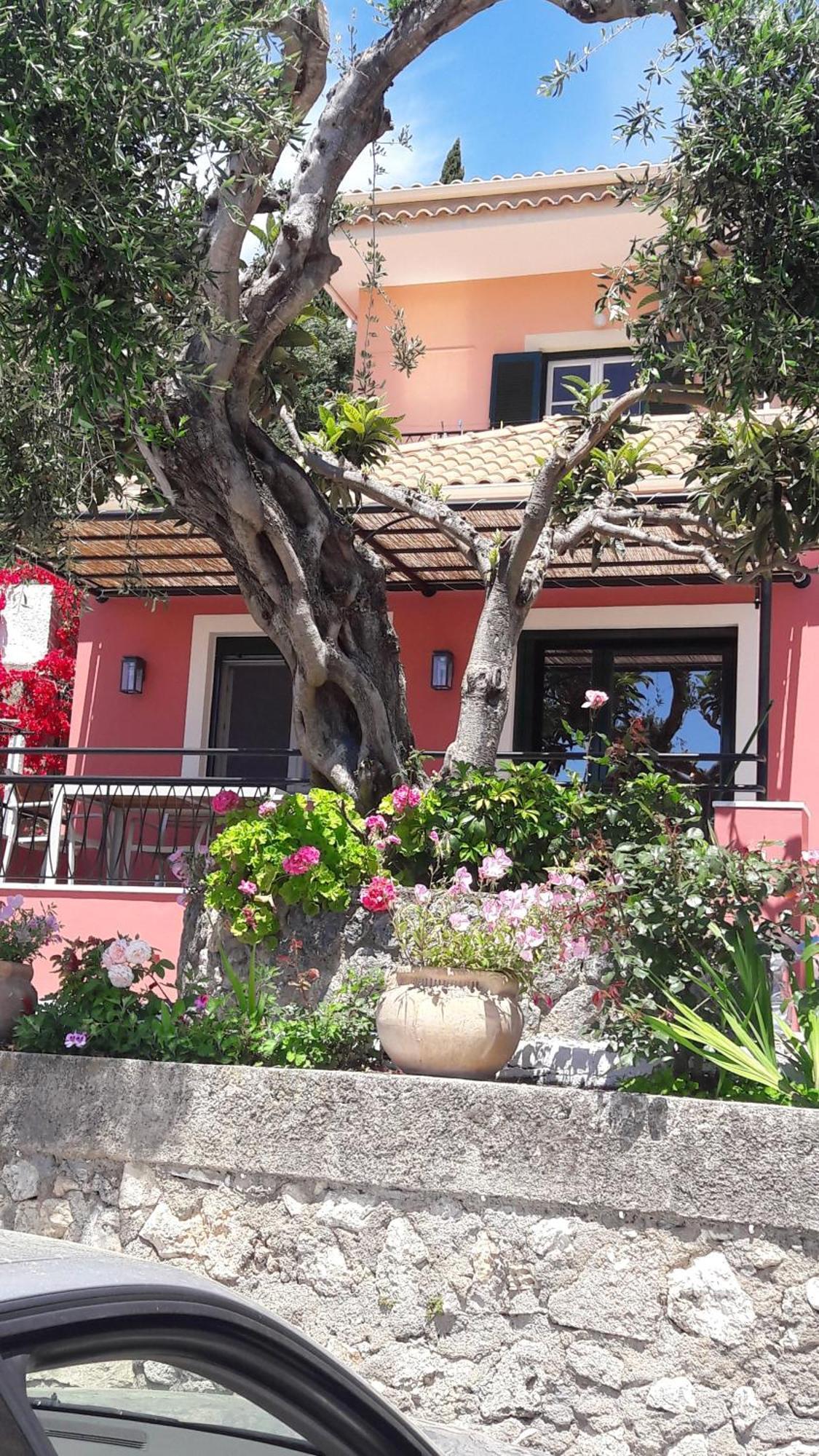Rapanos Apartments باليوكاستريتسا المظهر الخارجي الصورة